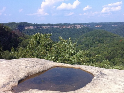 Auxier Ridge, a year after the fire